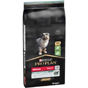 Starfires köpek bakım tarağı