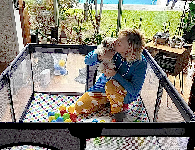 Berna Laçin Morkie dostu Romeo'yu sevmeye doyamıyor