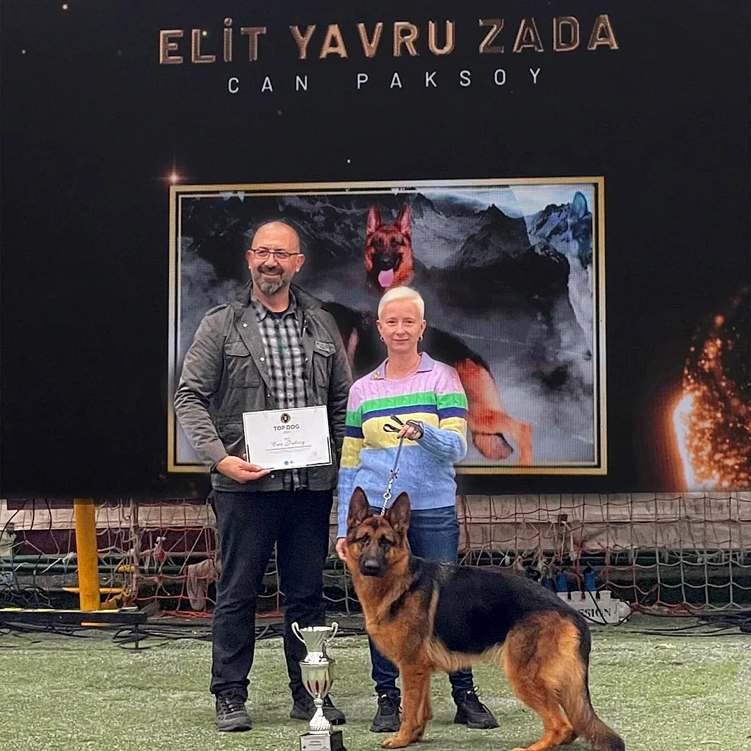 Alman Çoban Köpeğimiz Zada yetişkin katogorisinde 2024 TOPDOGG ödülünü kazandı
