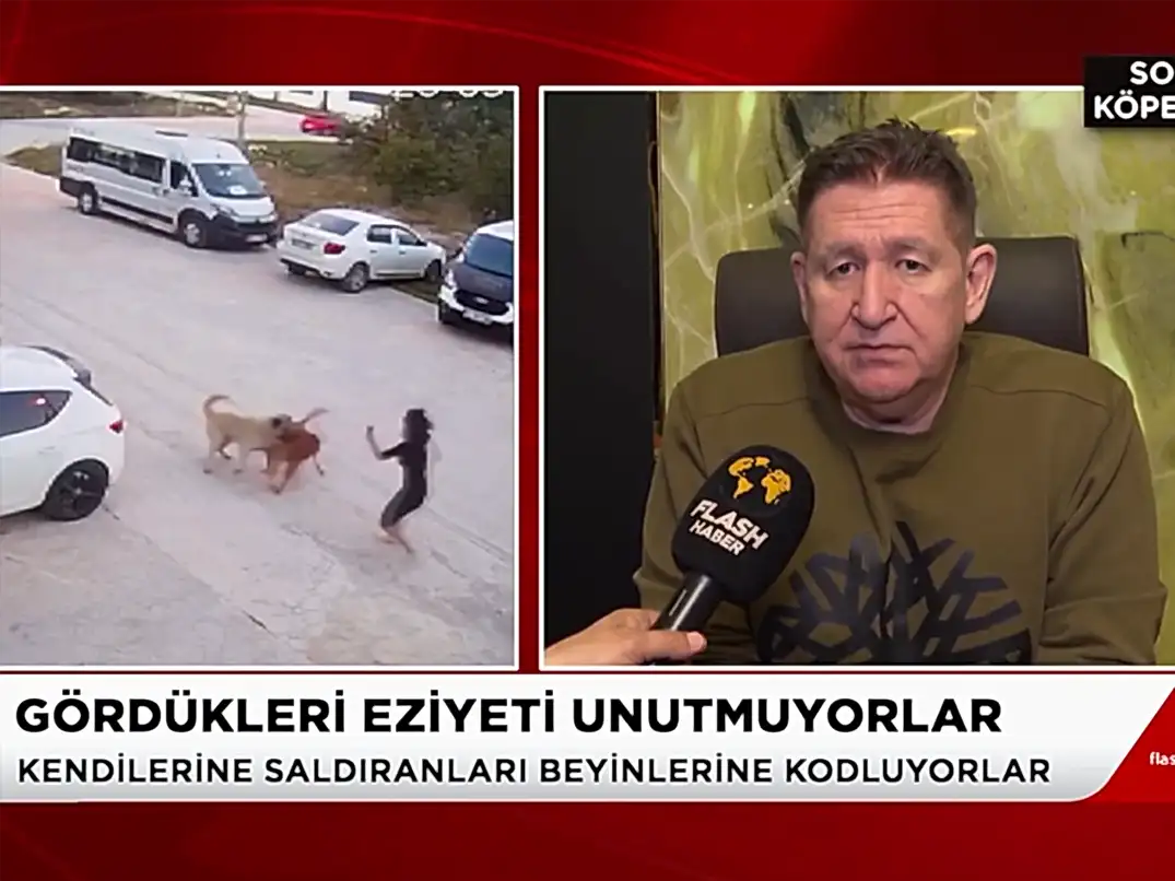 Flash TV ekranlarındaki Muhbir programında köpek saldırıları hakkında açıklamalarda bulunduk