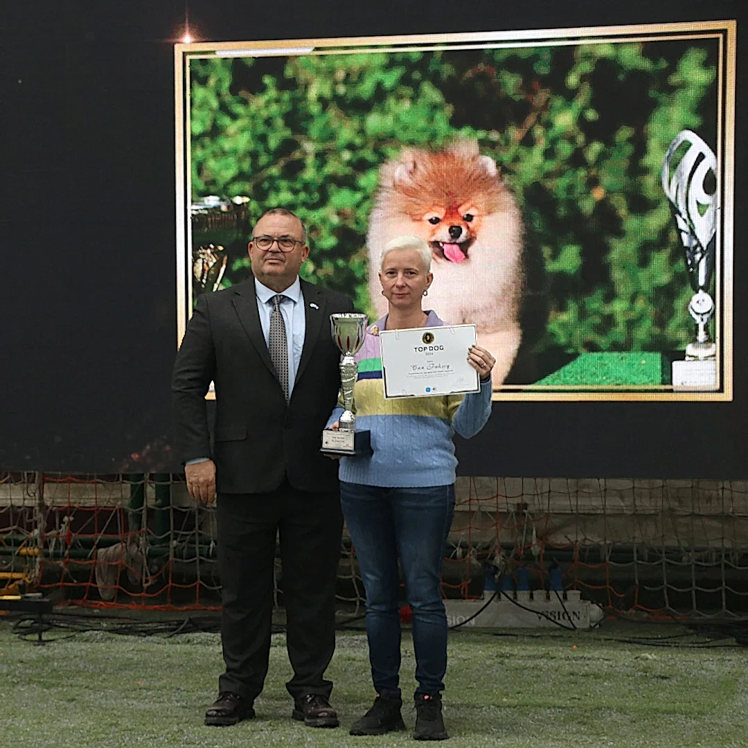 Pomeranian Köpeğimiz Miguel yavru köpekler katogorisinde 2024 TOPDOGG ödülünü kazandı