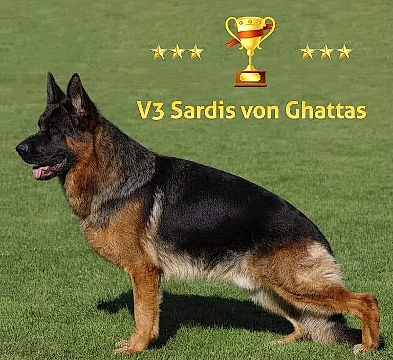 2024 yılında V3 derecesi alan Sardis Von Ghattas bebeklerine kavuşuyoruz