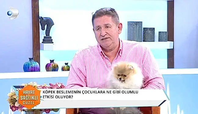 Elit Yavru Hakkında Biz Kimiz?