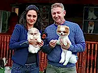 Dünyanın en pahalı köpek ırkları Atv Anahaber'de