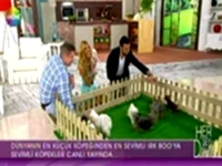 Köpek ırkları uzmanı Can Paksoy, Herşey Dahil programına katıldı