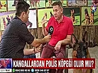 Elit Yavru Çiftliğimiz Star Tv Anahaber'e konuk oldu