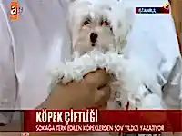 Elit Yavru'nun sosyal sorumluluk projeleri Atv Anahaber'de