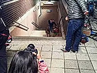 Aktör köpeğimiz Mira Vodafone reklamında