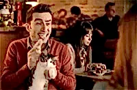 Elit Yavru kedisi Şahika Avea reklamlarında :)