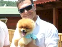 Azərbaycan'ın en güzel Boo köpeği Kanal D Ana Haber'de