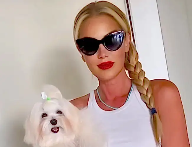 Petek Dinçöz'ün yeni elit yavrusu Morkie yavrumuz