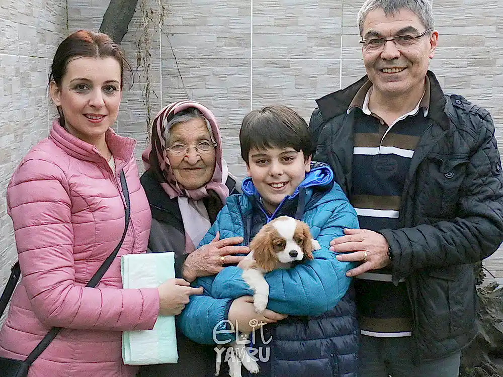 Akın ailesinin yeni dostu Cavalier yavrumuz
