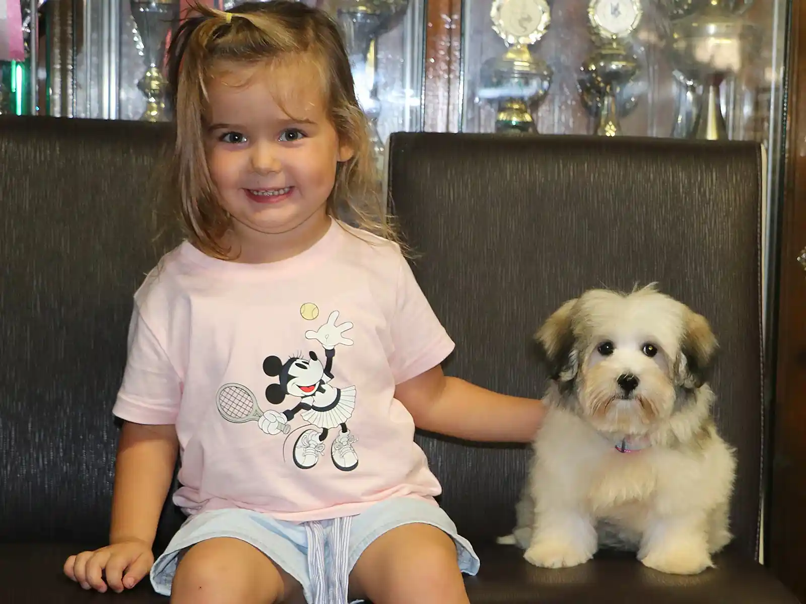 Alya'nın minik Morkie dostu