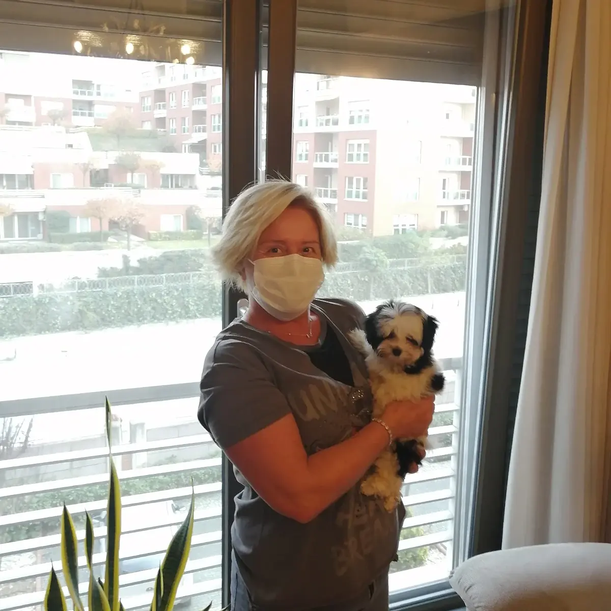 Ayşe Hanım siyah beyaz Morkie yavrusuna kavuştu
