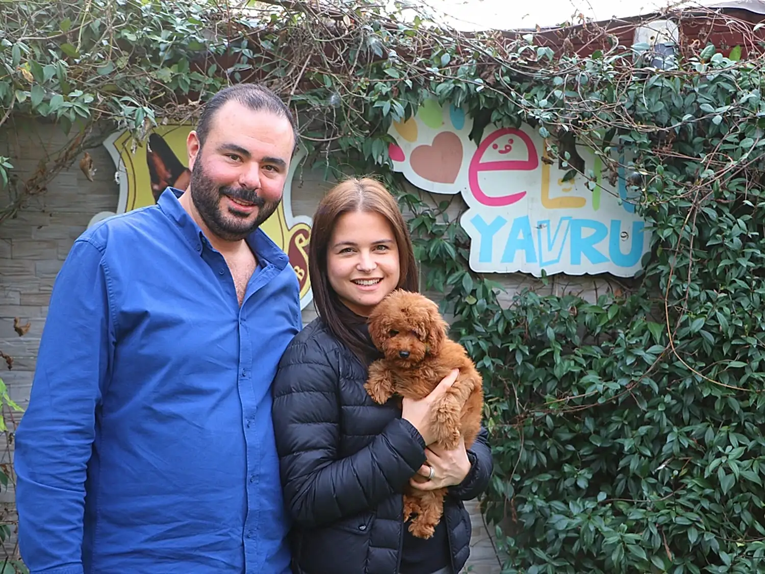 Gəncə'den İman Ailesi Poodle kızlarına kavuştu