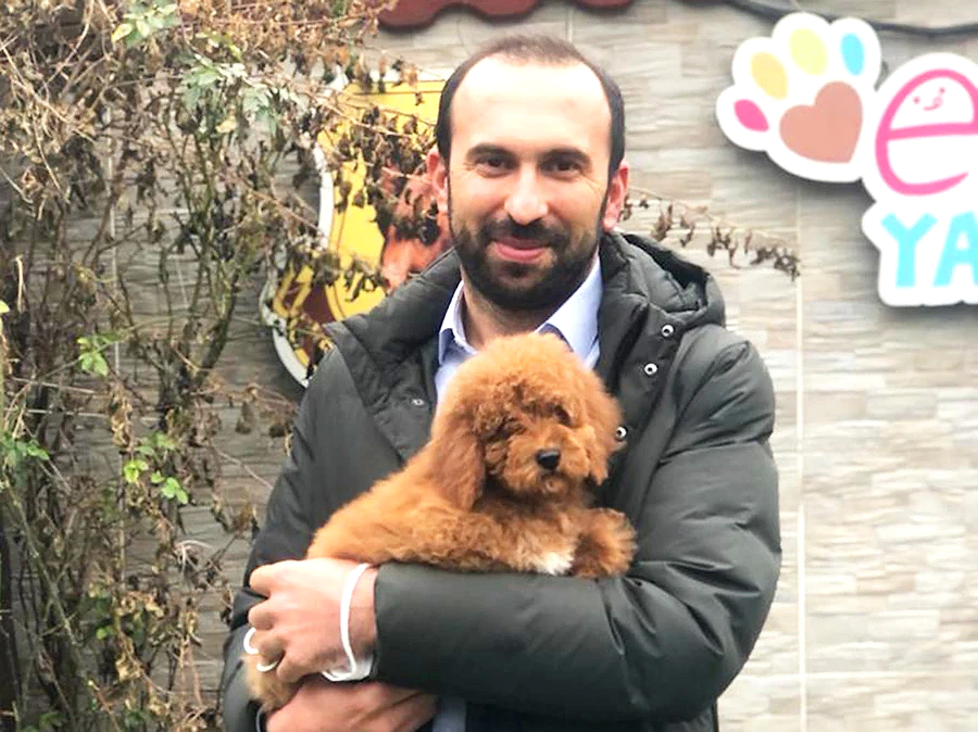 Barış Bey Kızıl Minyatür Poodle yavrusuna kavuştu