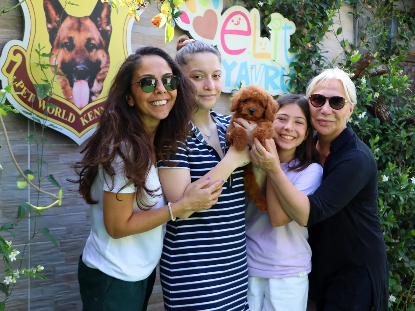Baysal Ailesi Poodle yavruları Sirius'a kavuştu