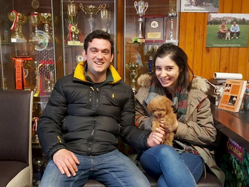 Caner&Melis çifti, Chocolate Toy Poodle sahibi oldu