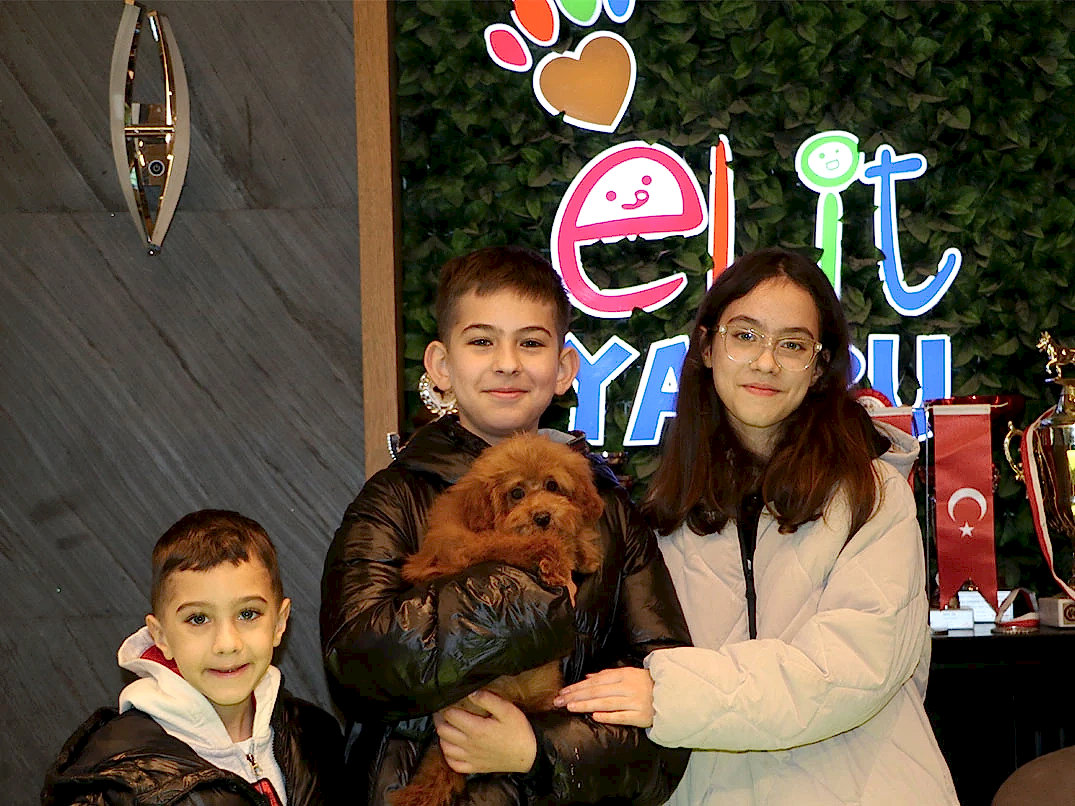 Sevgili Cansu Hanım ve ailesi Poodle yavrularına kavuştular
