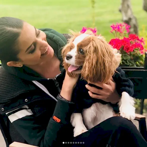 Ceren Bektaş'ın Cavalier Caz'ı düzenli pansiyonerimiz