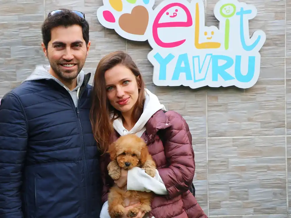 Çetiner Ailesi, Poodle elit yavrularına kavuştu