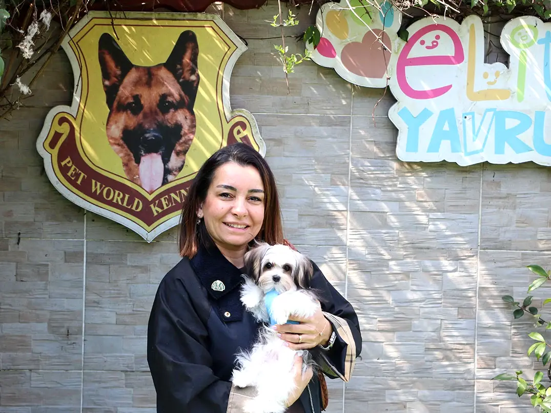 Bakı'dan Cihan Hanım ve ailesi Teacup Morkie yavrularına kavuştular