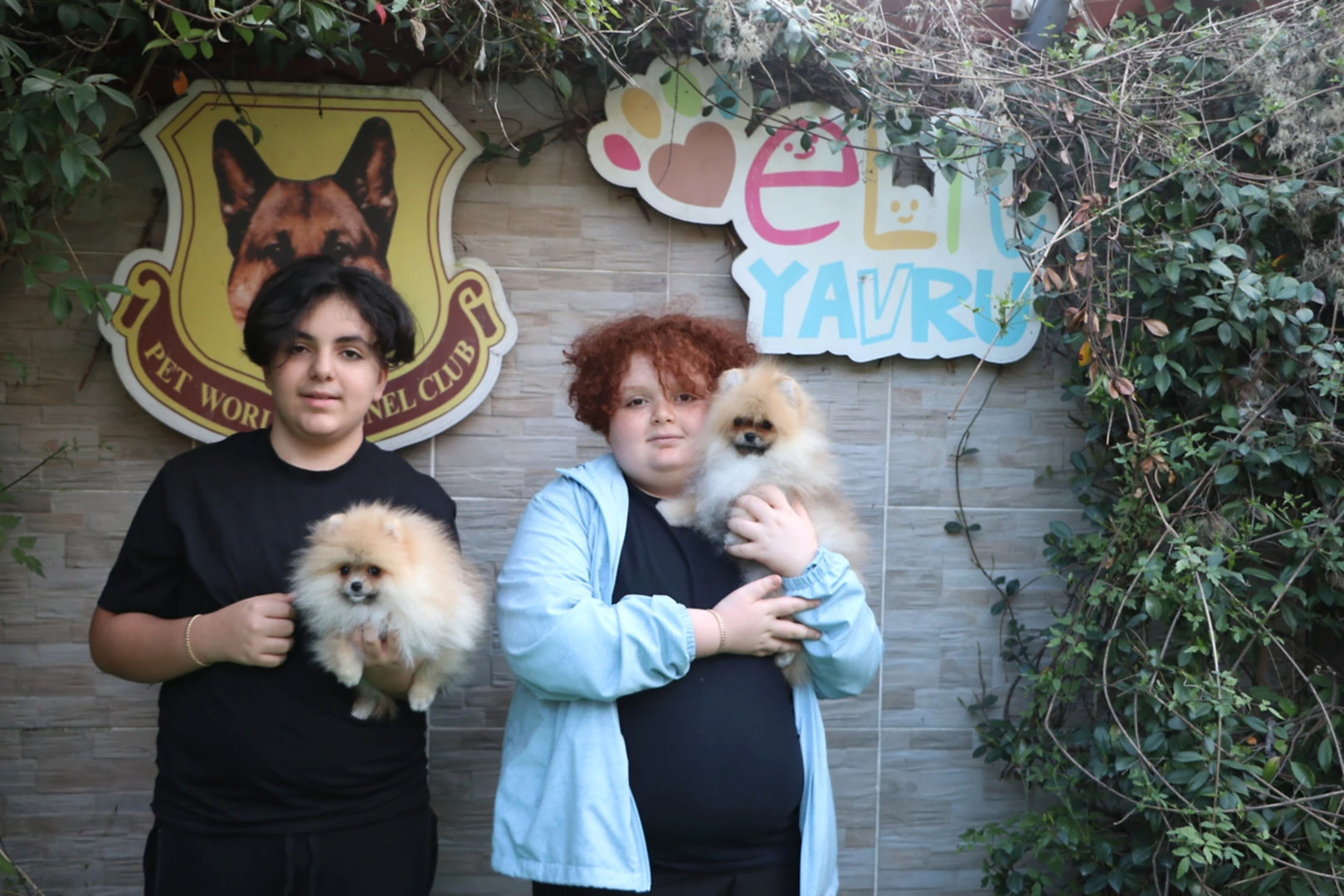Bakı'dan Ulusoy ailesi Pomeranian yavrularına kavuştular