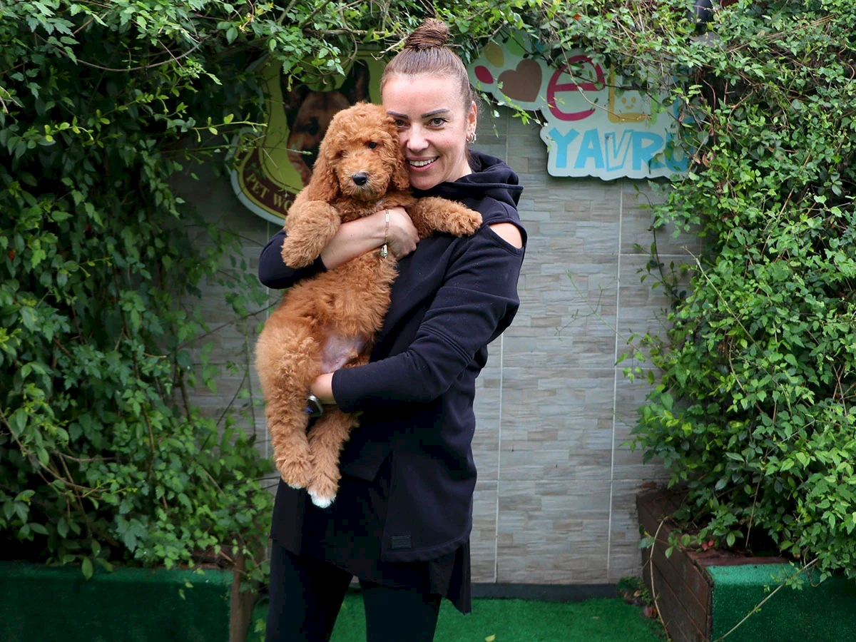 Didem Hanım Labradoodle oğluna kavuştu
