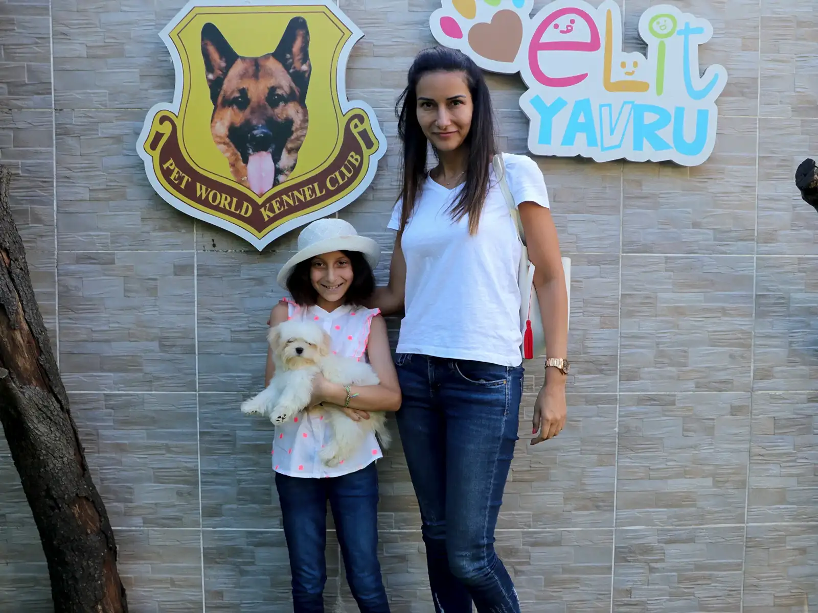 Elif Hanım'ın Morkie yavrusu