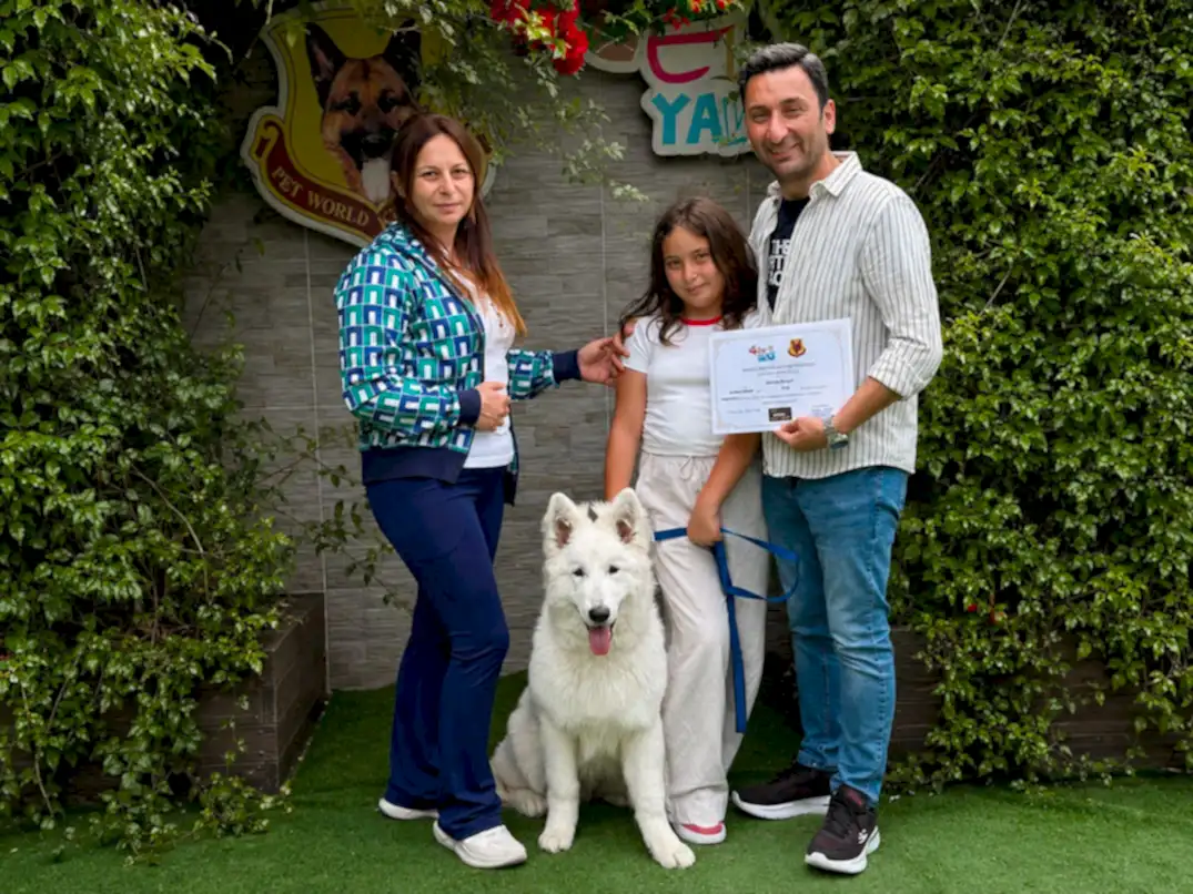 Beyaz Alman Çoban Köpeği Ayaz Temel İtaat Eğitimini Başarıyla Tamamladı
