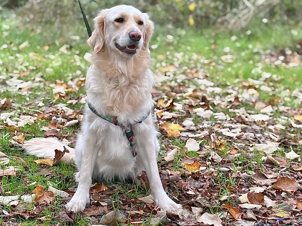 Yeni Pansiyonerimiz:Mia