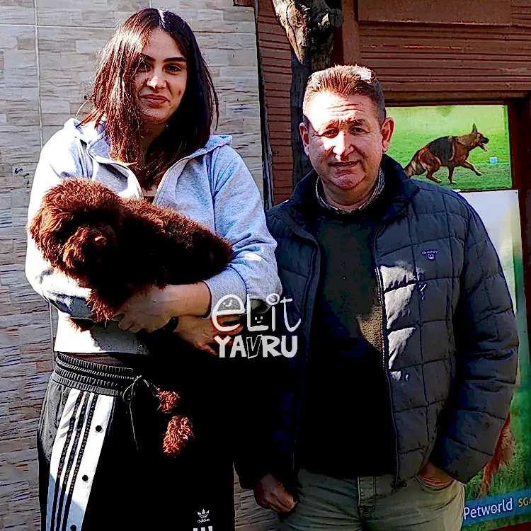 Galatasaraylı Bircan Gökdemir ve Poodle elit yavrusu