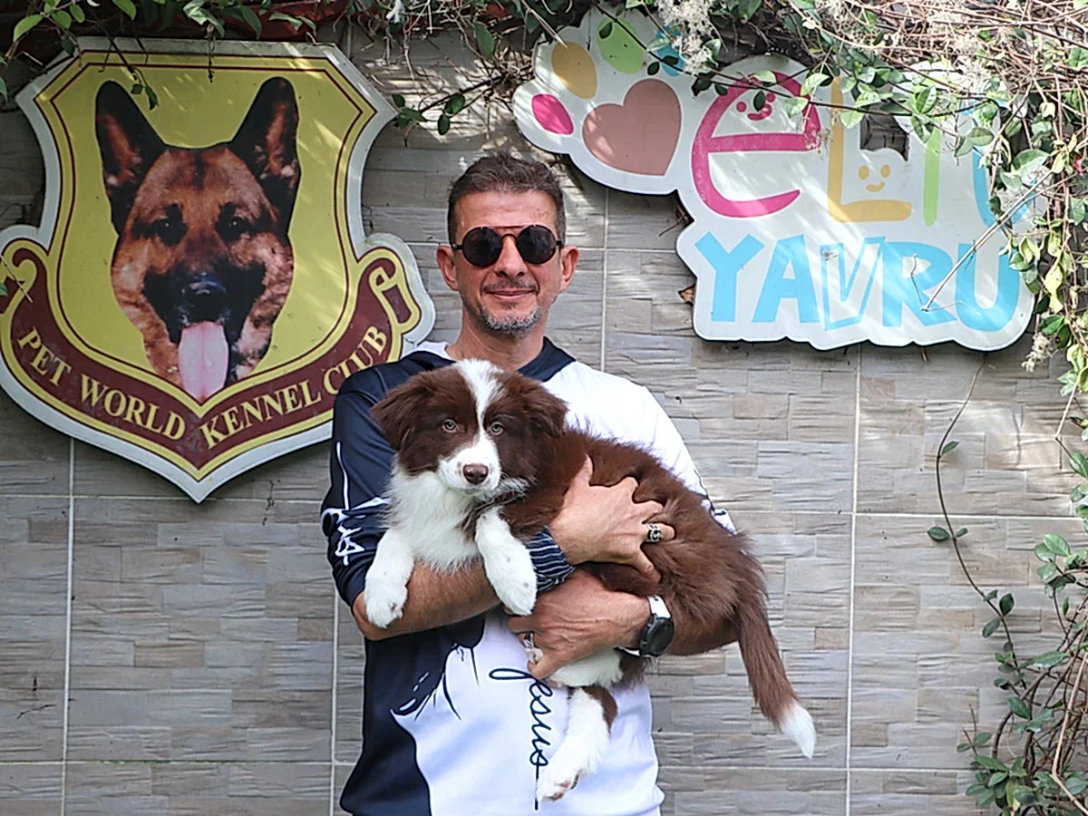 Sumqayıt'dan Hasan Bey ve ailesi Border Collie yavrularına kavuştular