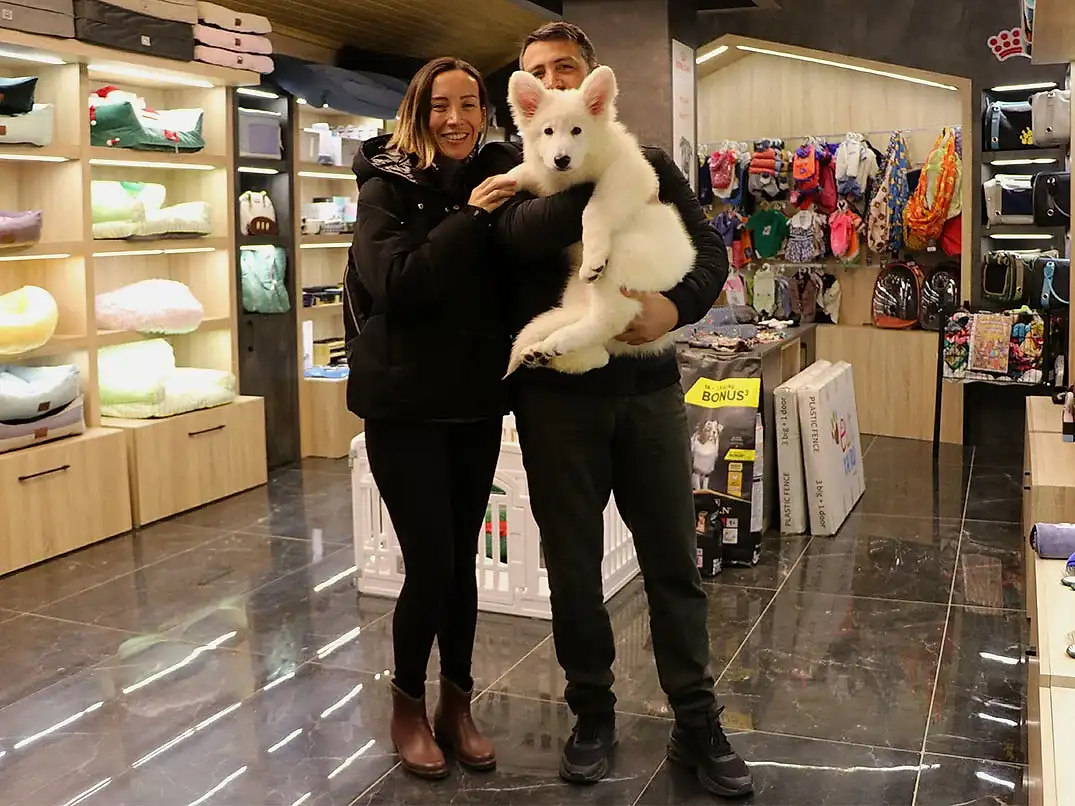 Hasan Bey ve ailesi Beyaz Alman Çoban Köpeği yavrularına kavuştular
