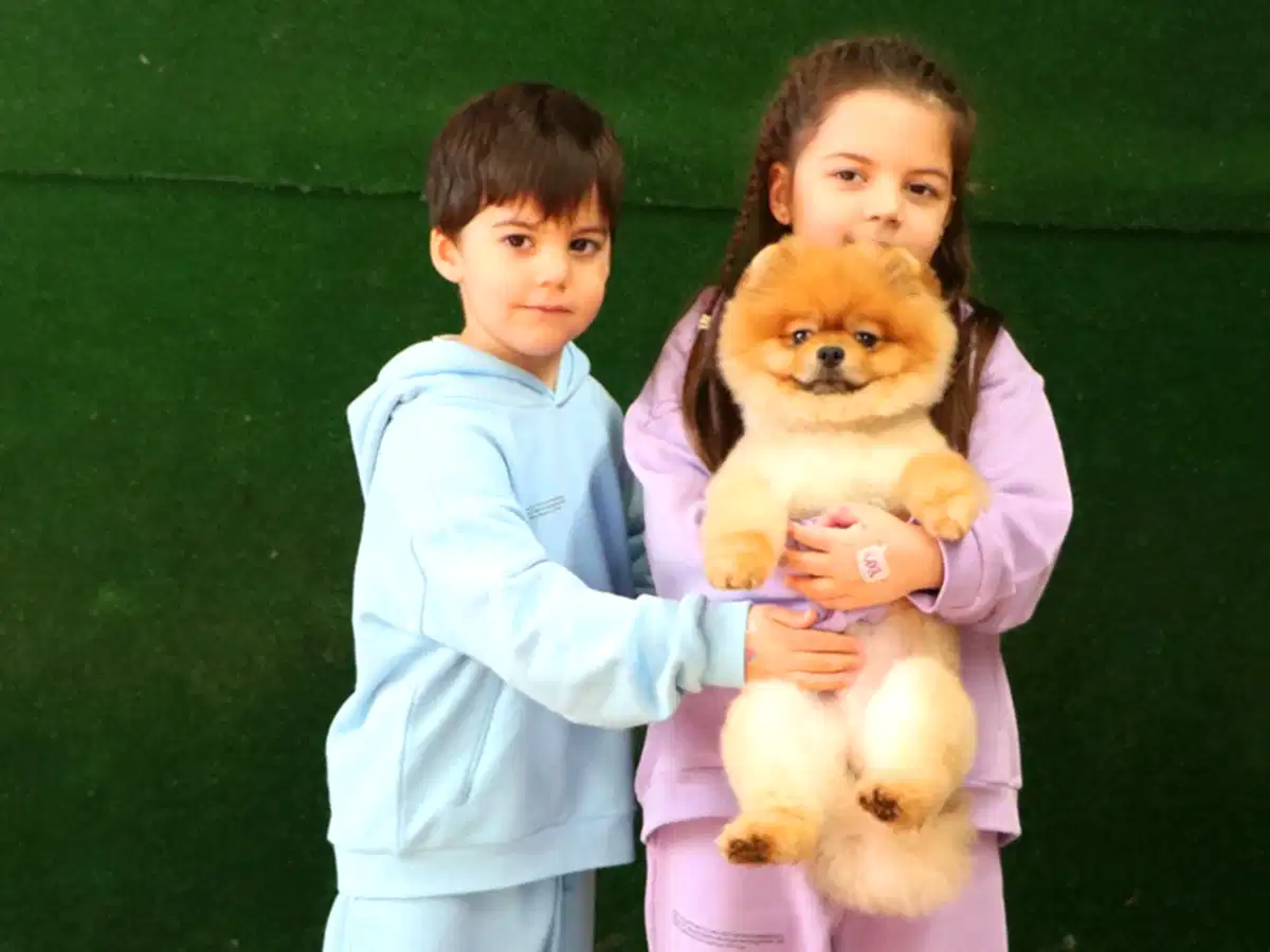 Hülya Hanım ve ailesi Pomeranian yavruları Coco'ya kavuştu