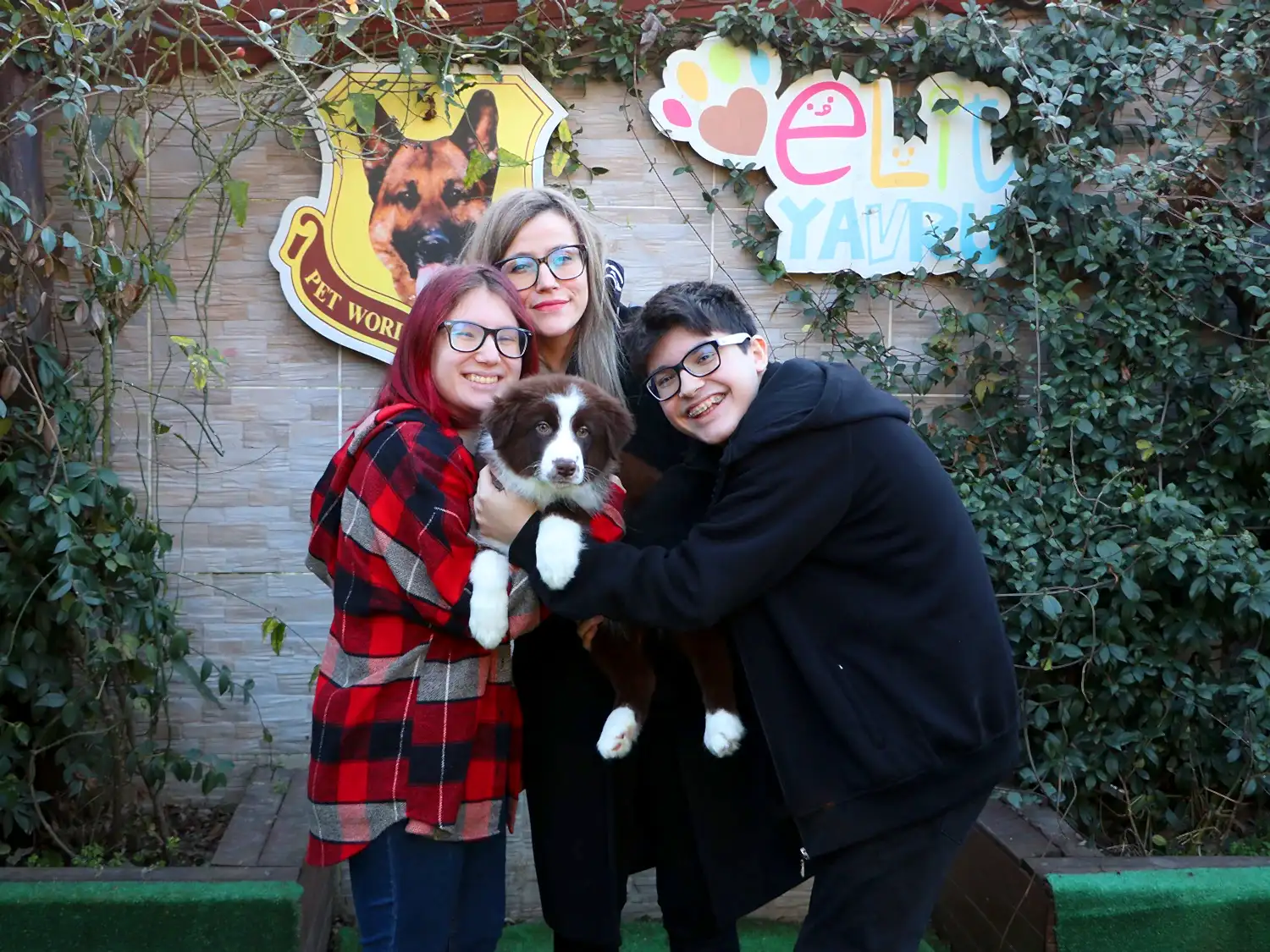 Kaplan Ailesi Border Collie yavrularına kavuştular