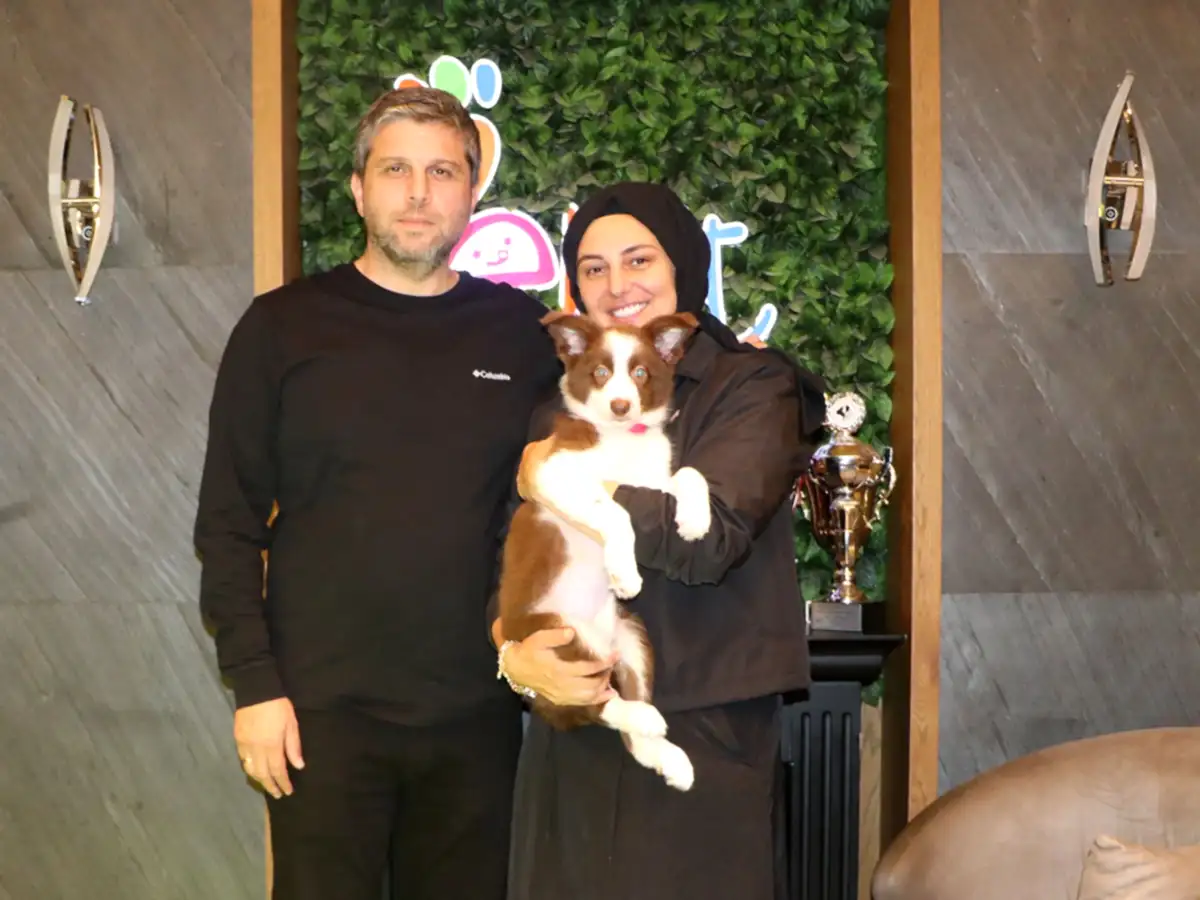 Mahmut Nazırlı Ailesine Border Collie Yavrusu Dahil Etti