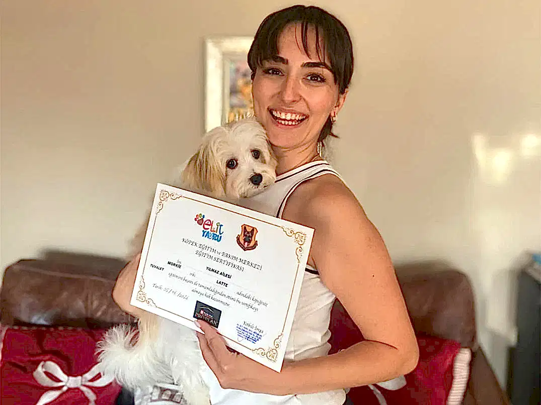 Melis Dülger Ailesinin Morkie Kızı Latte, Tuvalet Eğitimini Başarıyla Tamamladı