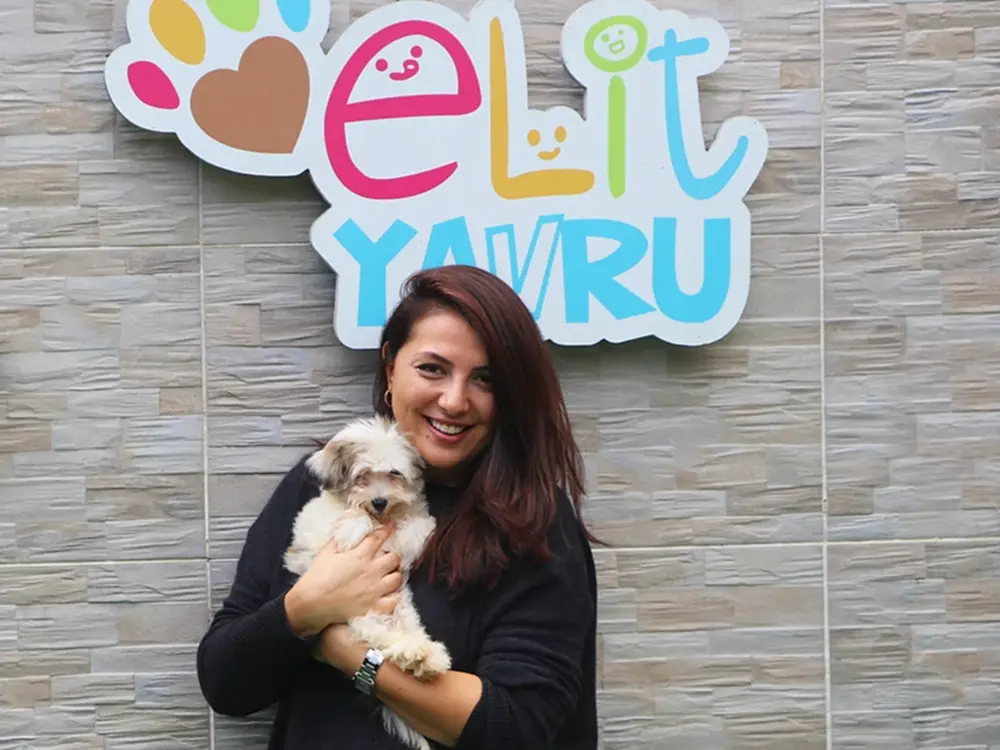 Modacı Gamze Saraçoğlu ve Morkie elit yavrusu