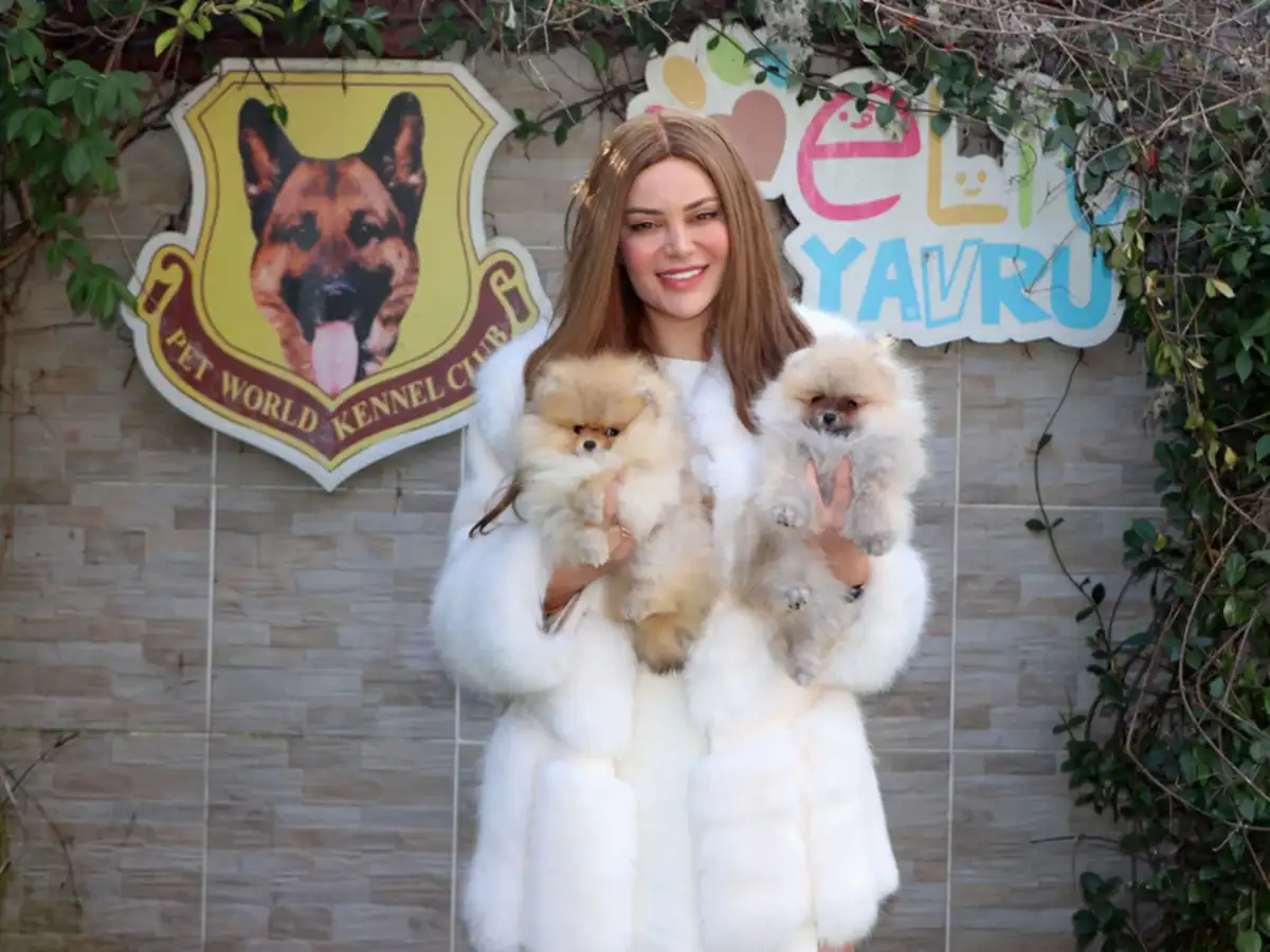 Sumqayıt'dan Nara Nabiyova ve ailesi Pomeranian yavrularına kavuştular