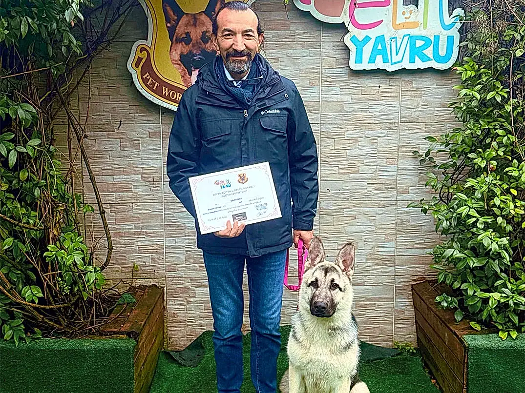 Jack Tuvalet ve Temel itaat eğitimini başarılı bir şekilde tamamladı