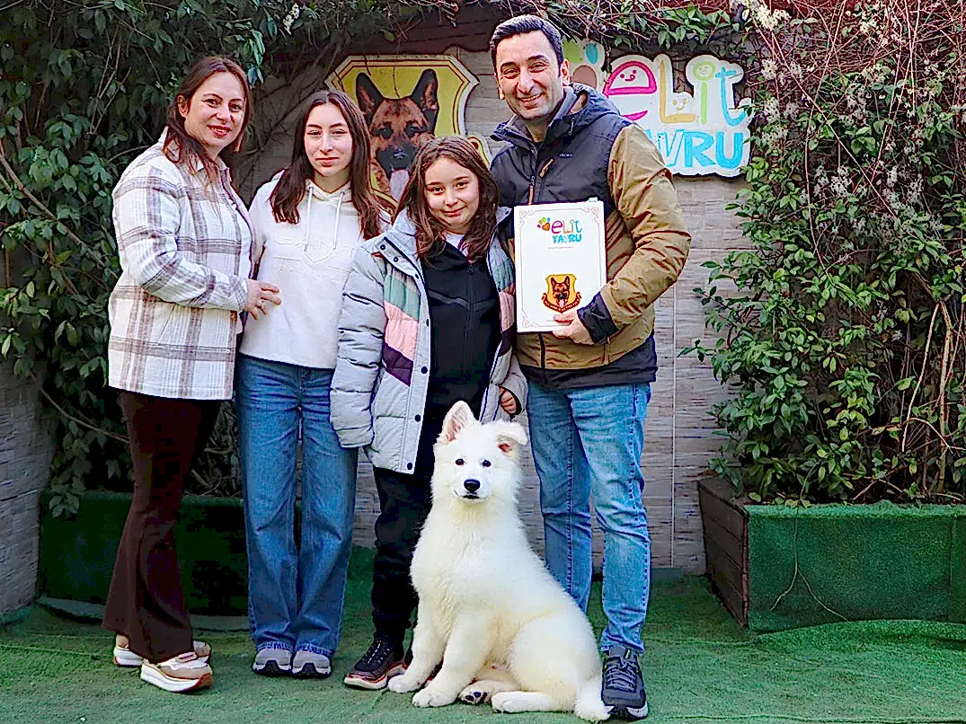 Ayaz Puppy eğitimini başarılı bir şekilde tamamladı