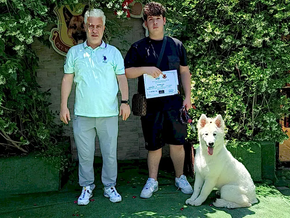 Topçuoğlu Ailesinin Beyaz Alman Çoban Köpeği Paris Temel İtaat Eğitimini Başarıyla Tamamladı