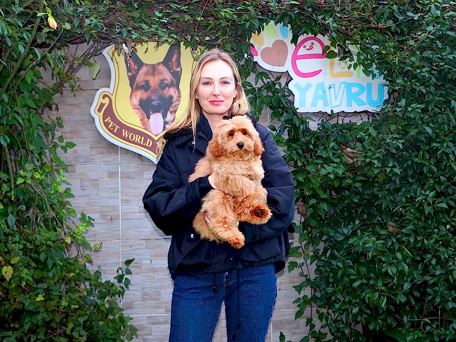 Pınar Hanım’ın kahverengi Maltipoo sevgisi