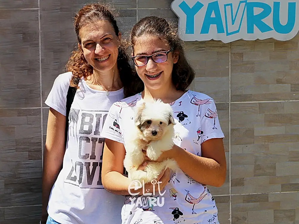 Şale Hanım, kızları için Coton de Tulear sahibi oldu