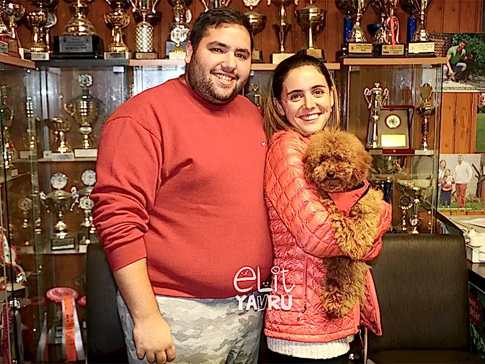 Sercan&Duygu çifti, Toy Poodle elit yavru sahibi oldu