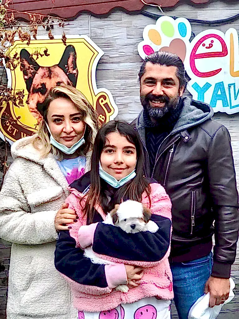 Bakı'dan Durukan ailesi kızıl beyaz Morkie yavruları Bıdık'a kavuştular