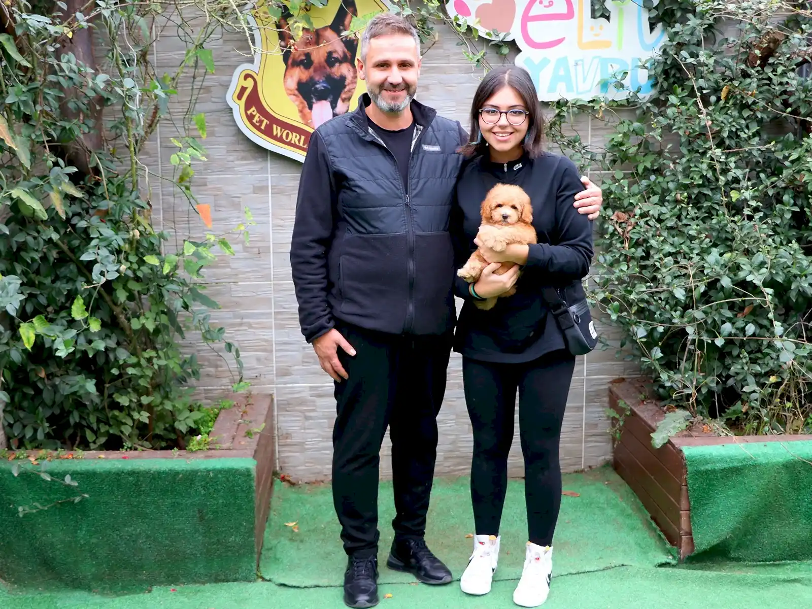 Bakı'ndan Deneri ailesi Poodle yavrularına kavuştular