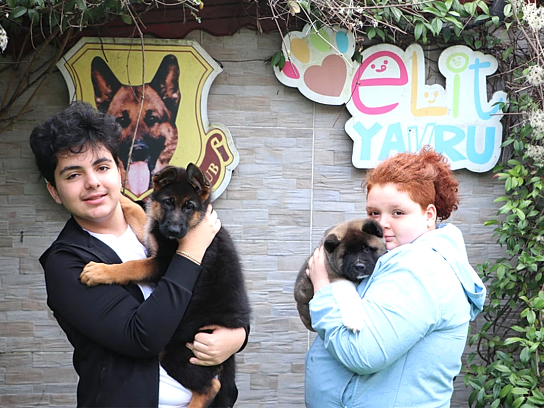 Bakı'dan Ulusoy ailesi Ameican Akita ve ALman Çoban yavrularına kavuştular
