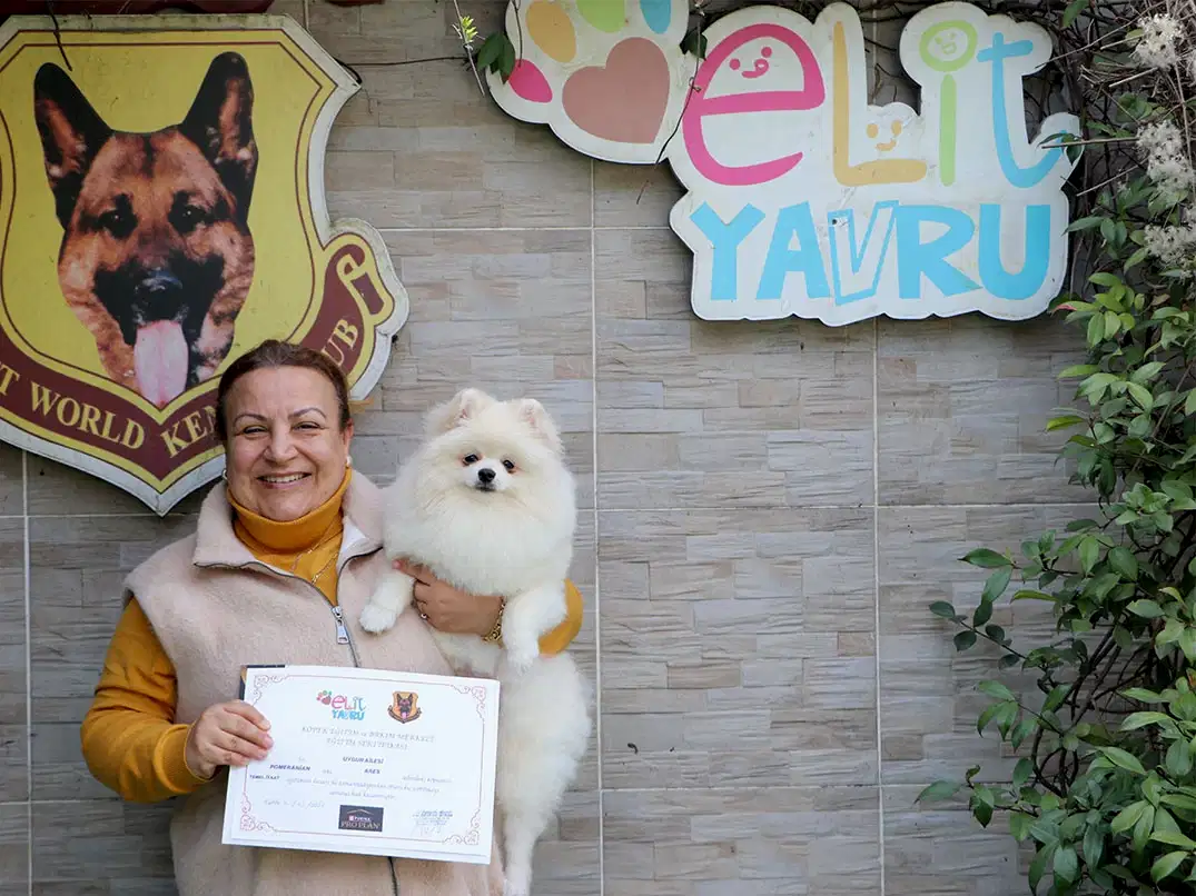 Uygun ailesinin minik üyesi Ares Temel itaat eğitimini başarılı bir şekilde tamamladı